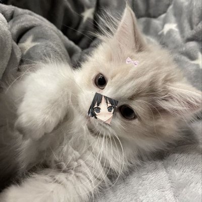 kzo_e19881212's profile picture. 小さな幸せを見つけるのが得意☕