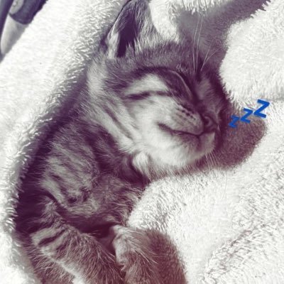 miojodoyuki's profile picture. 