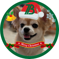 おりぃ (@besree) 's Twitter Profile Photo