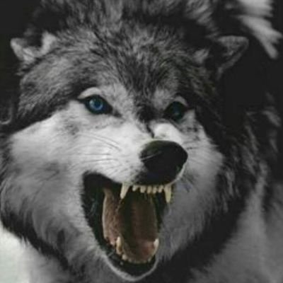 llanoalegre's profile picture. El pueblo es como su dirigencia