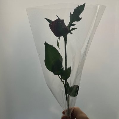 Aonya_dayo's profile picture. ［@Ao_MayBe11］自撮りを載せたり 中臣鎌足