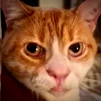 EYECANTFAIL's profile picture. take it easy guey