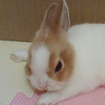 mobuspoons's profile picture. married to @ghosthosters hehe