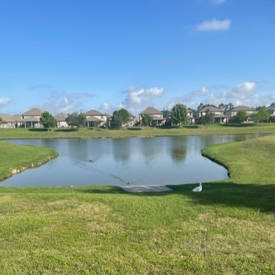 milopurple41's profile picture. Love food ,Music ,Sports and Coffee