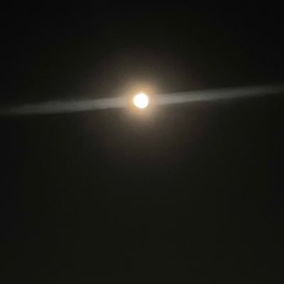 skxnwkdoao's profile picture. 