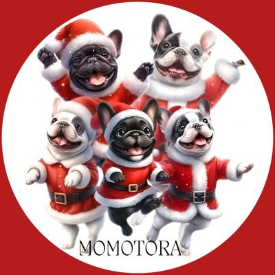 rxRZa1AY6n9Z5Vx's profile picture. 