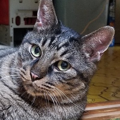 Gamers_Bar_0823's profile picture. 