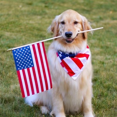 spaceofficailem's profile picture. INNOVATION AND INSPIRATION 🚀🔮