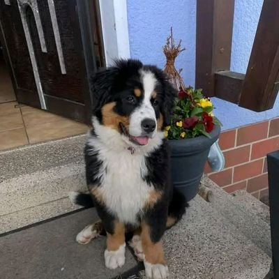 Artur_ziegle202's profile picture. 