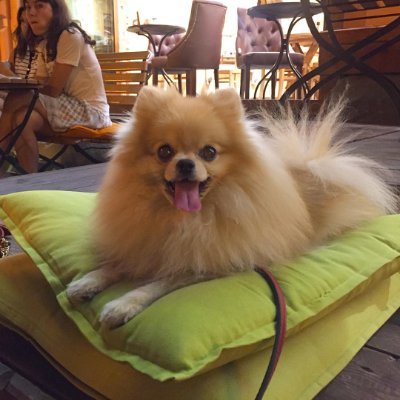 RITESHK825's profile picture. 