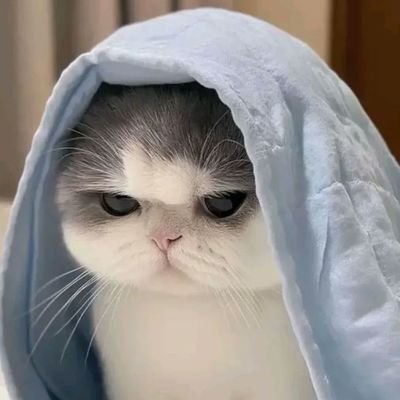 brightvc_only28's profile picture. 🌞 เมนไทยน้องไบร์ท @bbrightvc ยืน 1 สนับสนุนทุกอย่างที่ไบร์ททำแล้วมีความสุข เพิ่มเติมหนุ่มจีน 💛 #TianXuning 💚 #WangYibo 💜#HuangXing 🤟