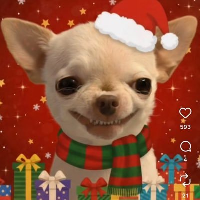 nunyab4444's profile picture. 