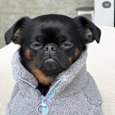 MakeAWrish's profile picture. 