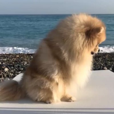 Shantirekh66617's profile picture. 