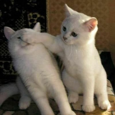 zeje_s2's profile picture. 