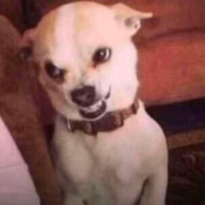 Rexxyreigns's profile picture. A Creative Mind Who loves Digital Assets☺