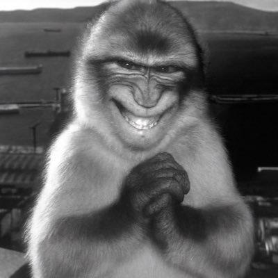 Leightoncy's profile picture. Steel is power. Money is power. But of all the things in all the worlds, words are power.