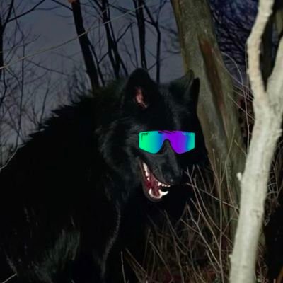 kxllaaa_'s profile picture. onchain terror🕷️

get mogged. on solana ofc