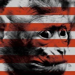 bakerybr02's profile picture. ..waiting for the train