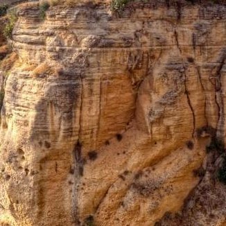 AMehsos's profile picture. 