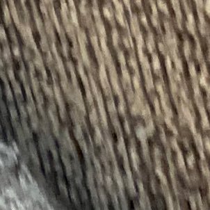 L5PGgRytO660797's profile picture. 