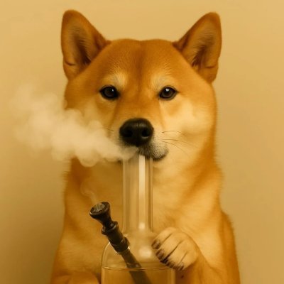 Fynn3ss's profile picture. 