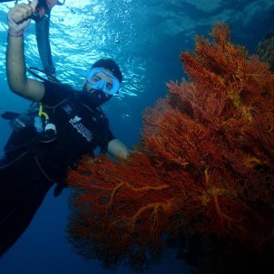 wakeupsid_18's profile picture. Startups | Food | Travel (not in that order :p)