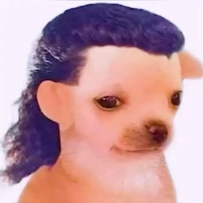 zareekwee's profile picture. 