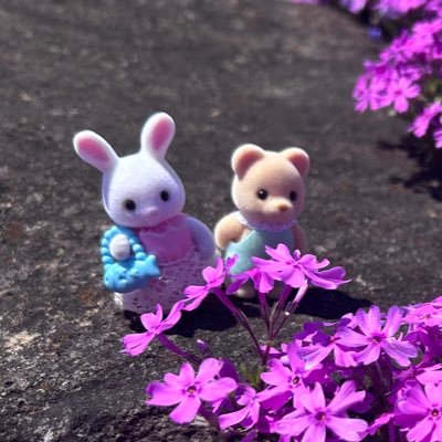 zibouzikiyarou's profile picture. 27歳こどおば女の垂れ流し