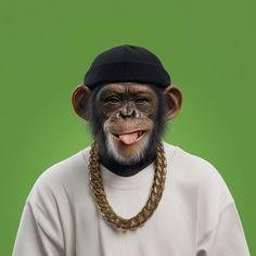 vernon_kim84406's profile picture. 