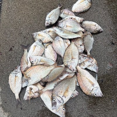 DeanPapadopoul2's profile picture. #makeitmagic #skol #paofc #paobc