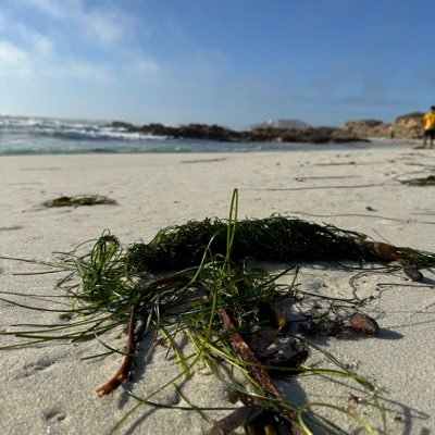 noqu2nasede's profile picture. New account - old self! Tweets are harmless and grammatically incorrect! retweets are NOT endorsements 🫠