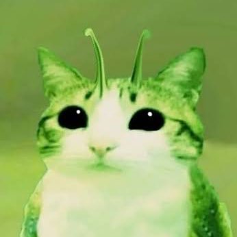 AdibDrippy's profile picture. would u hit on a sixteen?