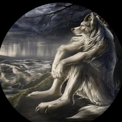 xr4yfn's profile picture. 14 @G3nZEsport Contact @noxzifv | @spexxfnr