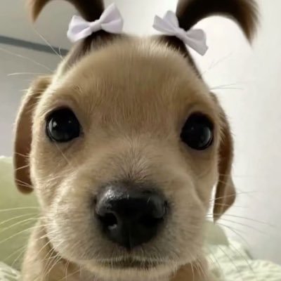 JusicsinsengAh's profile picture. 2n살 프리랜서/ 요가와 책, 타투를 좋아해요. 여성 인권에도 관심이 많습니다 많이 배우고싶어요 ••