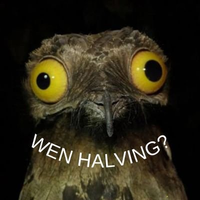 brett_grif23944's profile picture. Woz Thinking 🤔