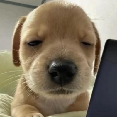 ajinlol1's profile picture. .・。.・゜♡・ꨄ・♡・゜・。.