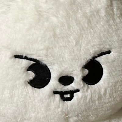 skzlovedayo's profile picture. skzは命  サブ垢を作りました✌️