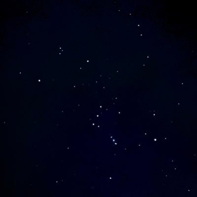 MagicalMeg13's profile picture. 