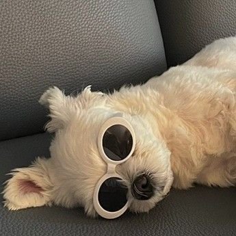 hizz__dev's profile picture. 개발자 그만 뒀어요. 진로 찾는 중