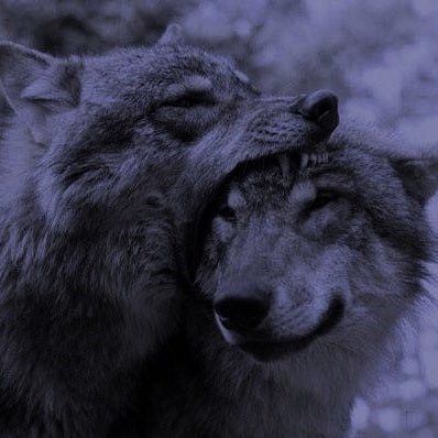 v6tsgn's profile picture. Assyrian 🦅