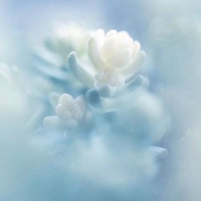 mffslb's profile picture. 