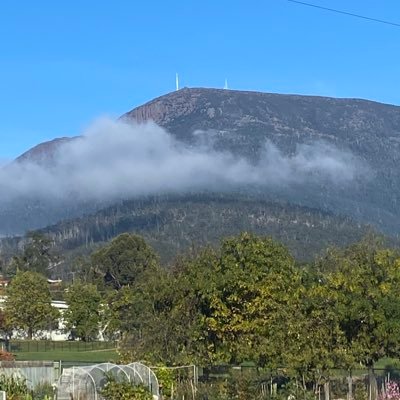 ShannonTFortune's profile picture. Horseracing in my veins, Pedigree Purist, Form Analyst, Owner...NBA Knicks, Punter….🏇🏼🏇🏼🦏