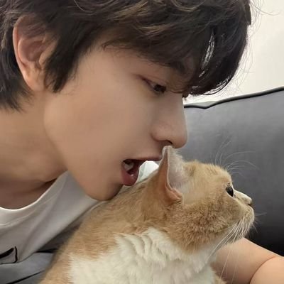 roesade's profile picture. FAUX. 在他的平静之下隐藏着一种不需要证明的力量。