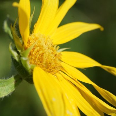 Propo30's profile picture. 