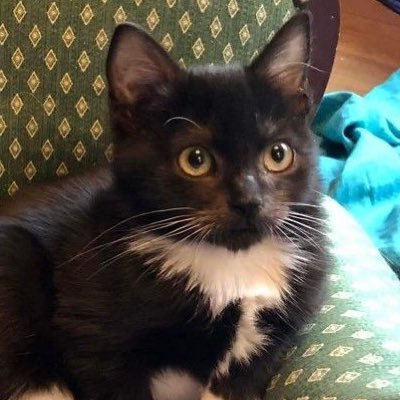 NEEDY_Angel__'s profile picture. Я изучаю русский язык.