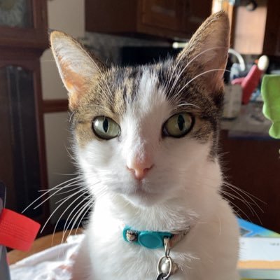 fpssage's profile picture. 24!Aeon Stan 🖤❤️ Maria Lover 🦋 Teenie- 11.16.25🕊️