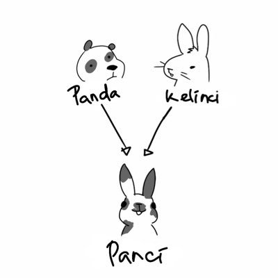b •ᴗ•