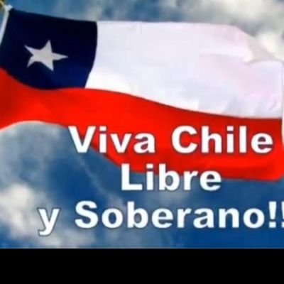 RossaValeria's profile picture. CHILE💟, COLO-COLO, CAT-LOVER 😻😻😻😻😻😻😻😻😻😻😻, ALBORANISTA/ LUISMI / BLOQUEO INSULTOS /ORGULLO 22% y 44% RESISTIR, 62% ¡VIVA CHILE!  #KAISERPRESIDENTE