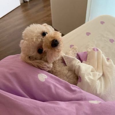 azriel_kylie's profile picture. AZA/azralph